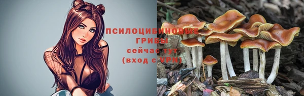 PSILOCYBIN Алексин
