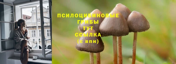 PSILOCYBIN Алексин