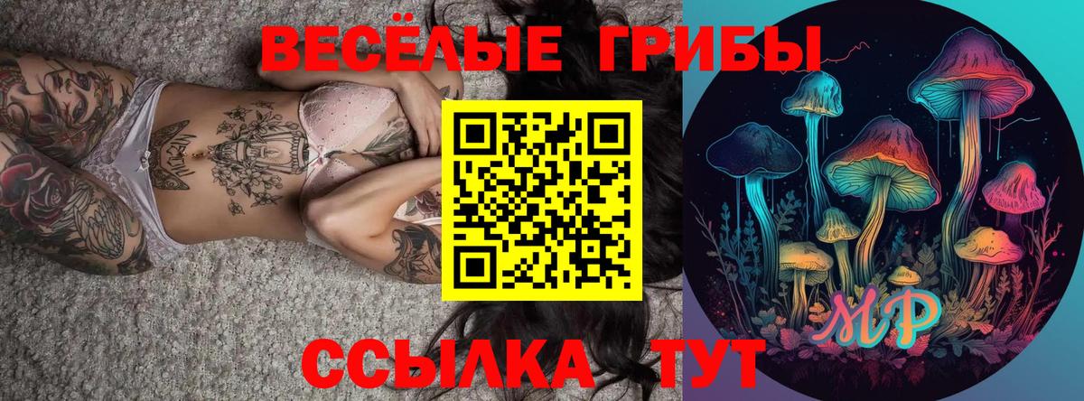 Нижний Тагил  Псилоцибиновые грибы ЛСД  Вход с VPN 